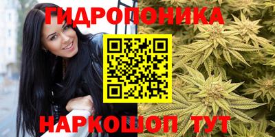 стафф Малоярославец