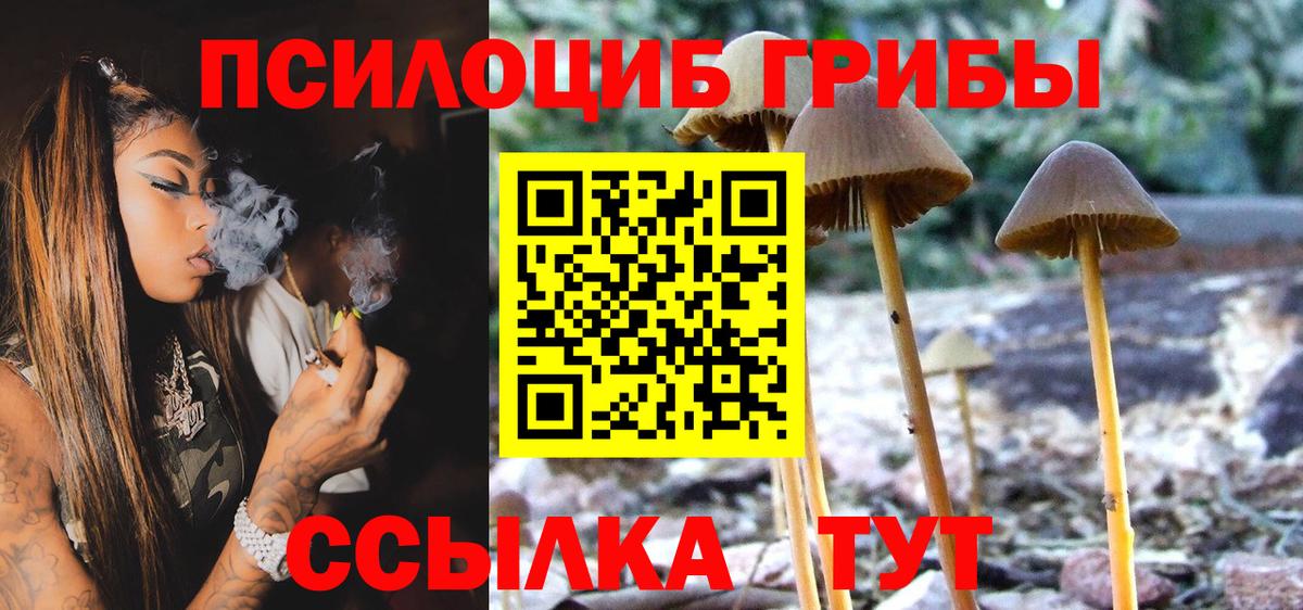 Бошки Шишки  Казань  Альфа ПВП СОЛЬ   ЭКСТАЗИ  Мефедрон   Вход с VPN  COCAIN 