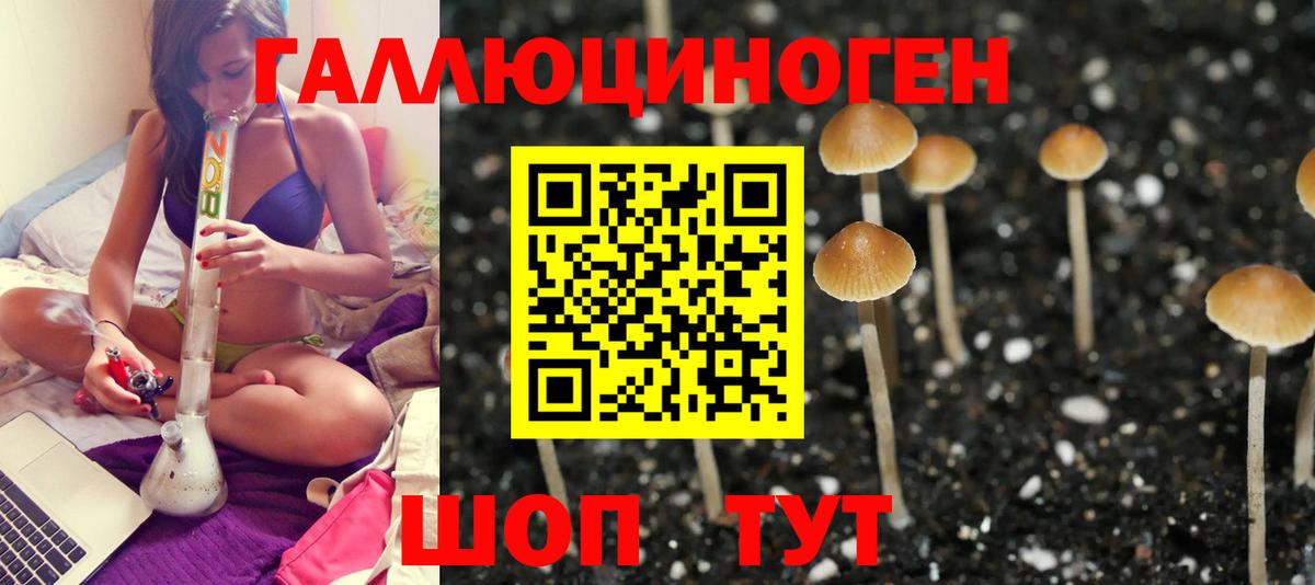 Галлюциногенные грибы GOLDEN TEACHER  Псилоцибиновые грибы Magic Shrooms  Вход с VPN  Казань 