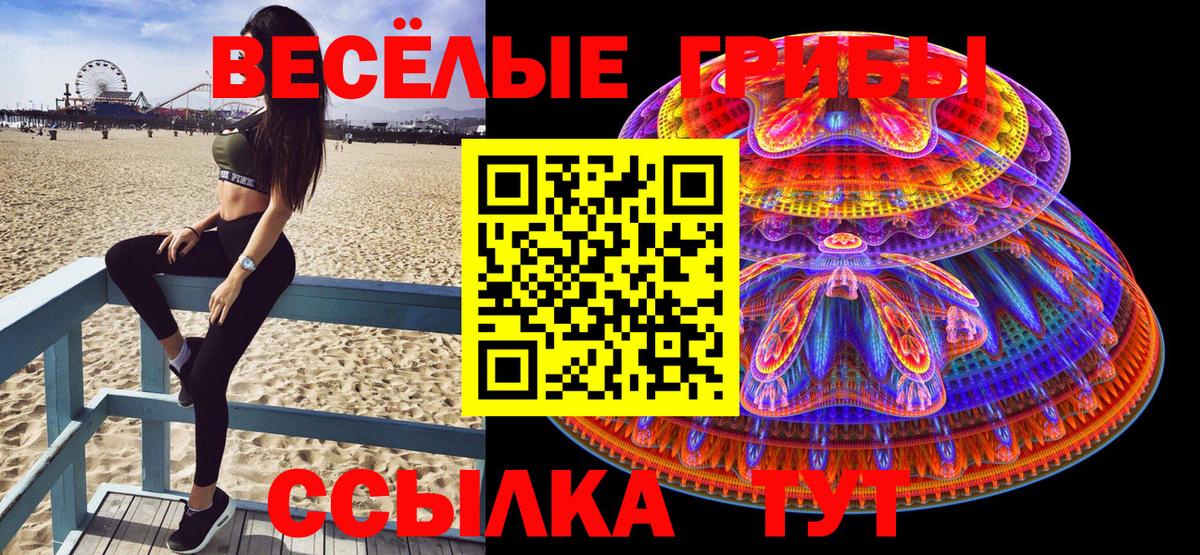Псилоцибиновые грибы Magic Shrooms Казань